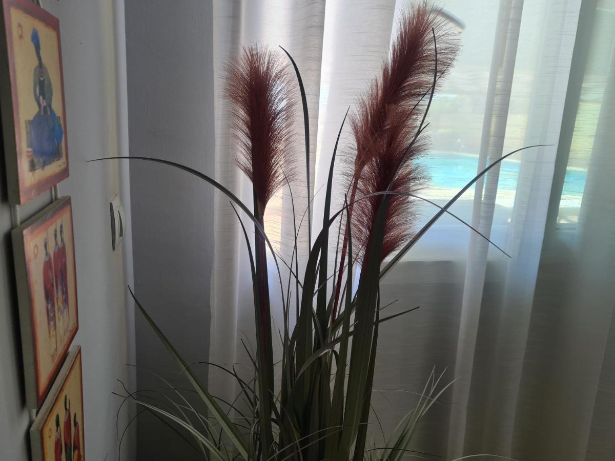 El Remo Apartamento